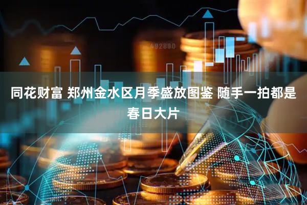 同花财富 郑州金水区月季盛放图鉴 随手一拍都是春日大片